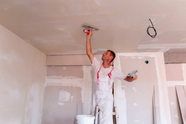 Best Drywall Sanding and Smoothing  in Bent Creek, NC