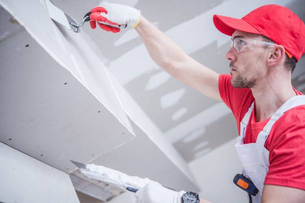 Best Water-Damaged Drywall Repair  in Bent Creek, NC